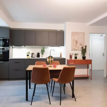 Les Tilleuls Ii - T5 Apartment Villeurbanne
