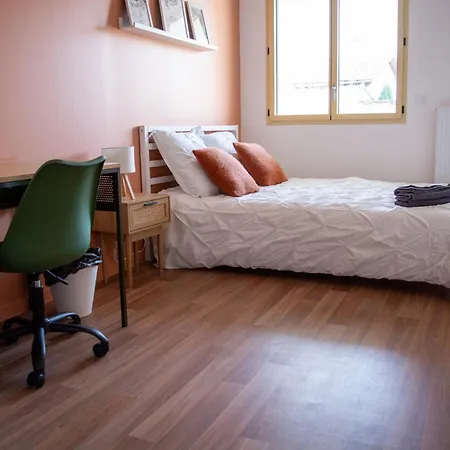 Les Tilleuls Ii - T5 Apartment Villeurbanne
